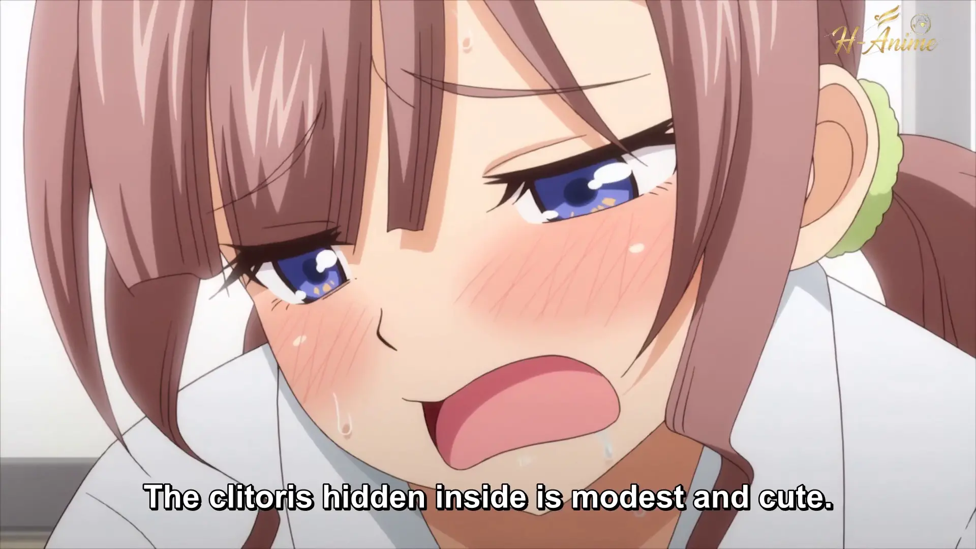 ver Seishidouin no Oshigoto The Animation episodio 2